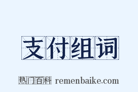 支付组词是什么意思的图片